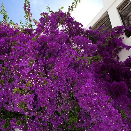 埔德拉酒店 酒店 2*