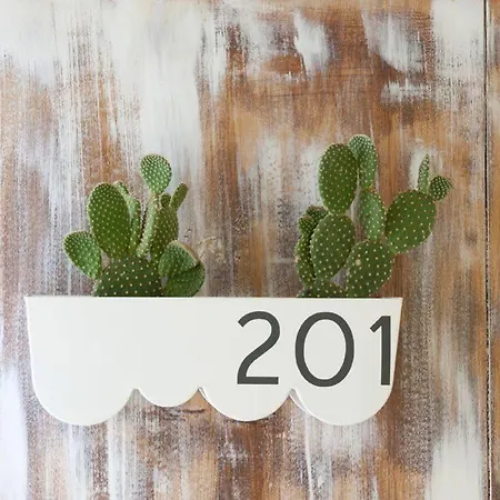 Haspeyma Otel מלון 2*