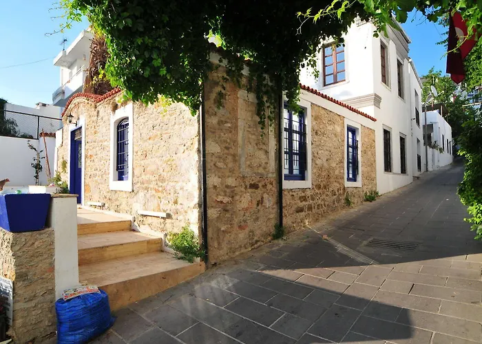 Haspeyma Otel 2* Bodrum