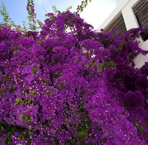 Haspeyma Otel Hotel 2*